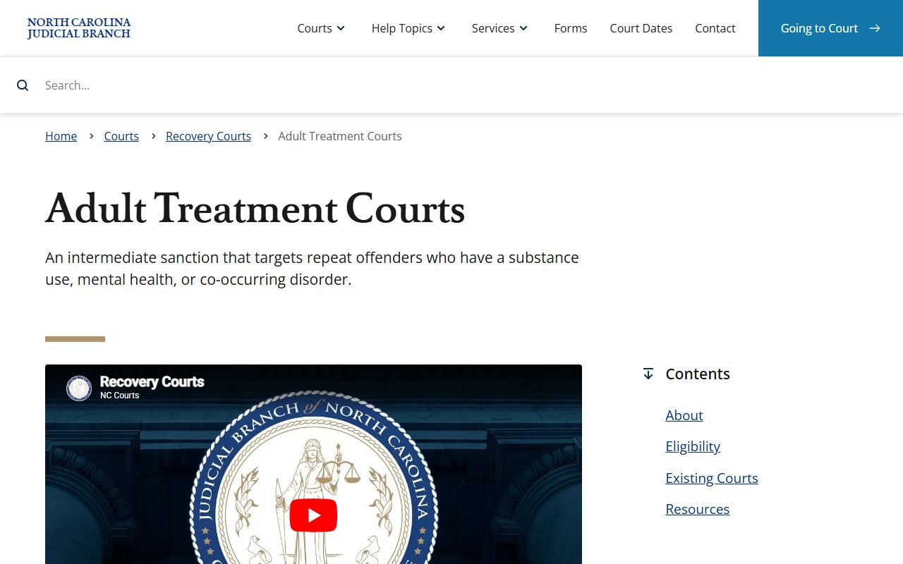 Person County court dockets Adult Treatment Courts page